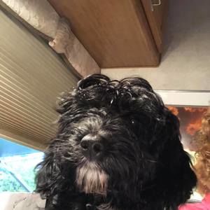 Meet your Posher, Sally